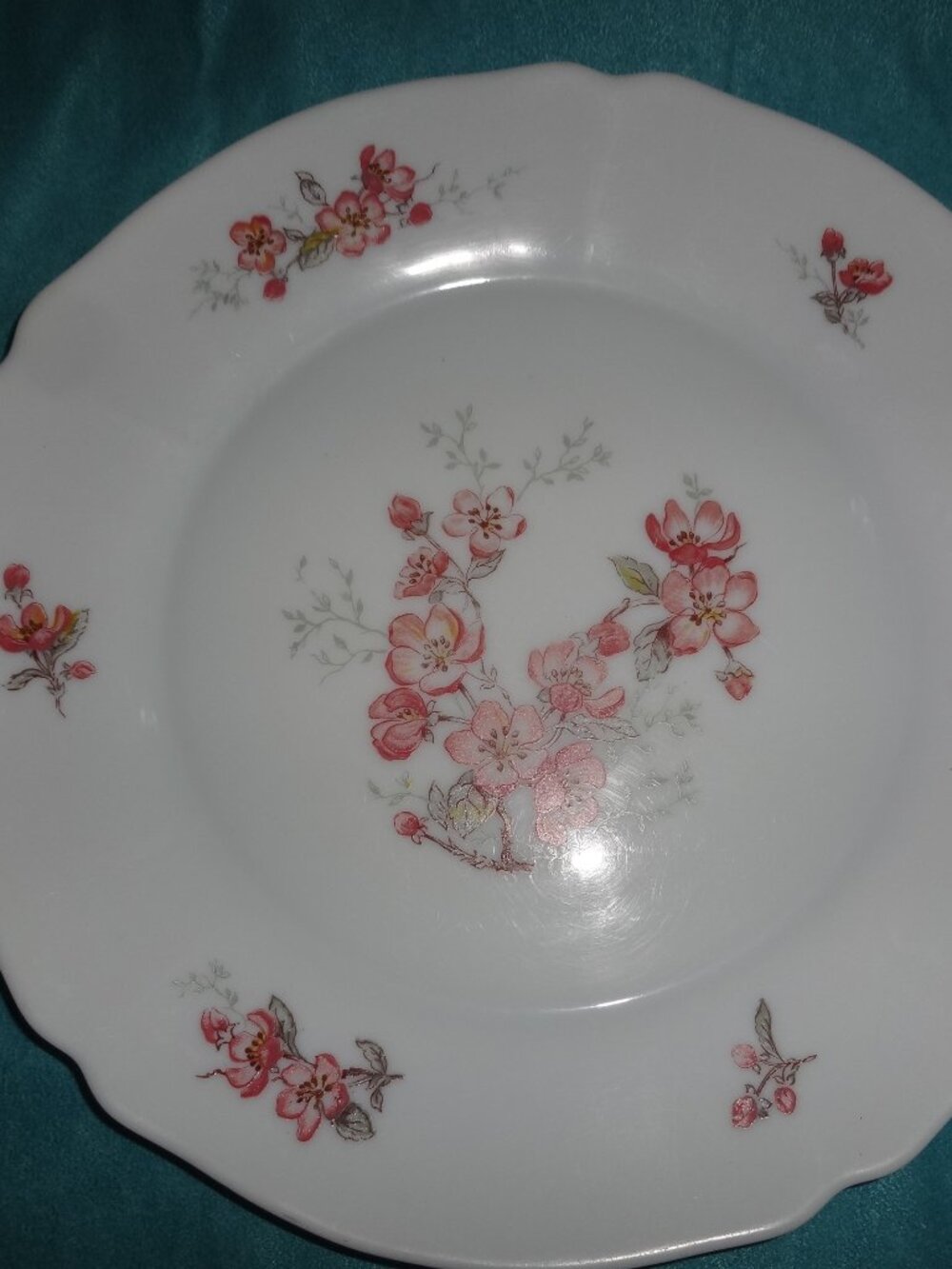 Arcopal France Florentine Dinner Plate Milk Glass Scalloped Rim 10 1/4” Vintage